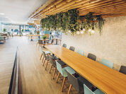 Panadera, cafetería Trigolas